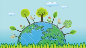 建設項目環境保護管理條例